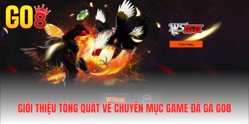Giới thiệu tổng quát về chuyên mục game đá gà Go8