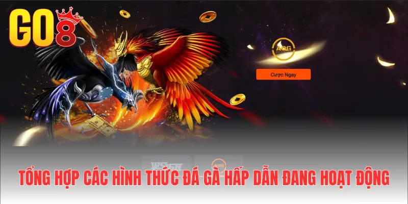 Tổng hợp các hình thức đá gà hấp dẫn đang hoạt động
